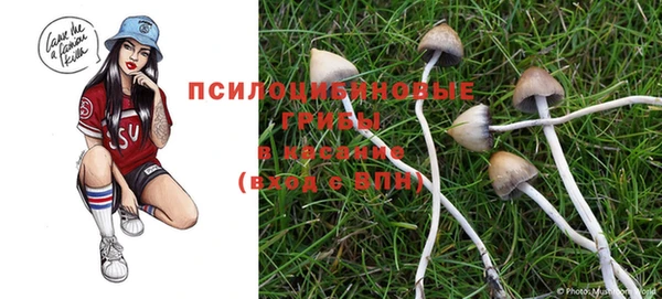 гашик Лихославль