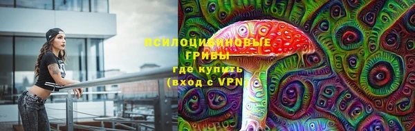 гашик Лихославль
