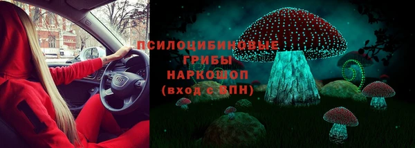 гидра Лиски