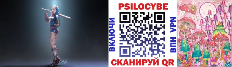 Псилоцибиновые грибы прущие грибы  купить закладку  Рубцовск 