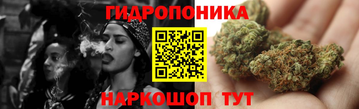 Бошки марихуана семена  Шишки марихуана конопля  Шишки марихуана Bruce Banner  Рубцовск  Вход с VPN  Каннабис тримм 